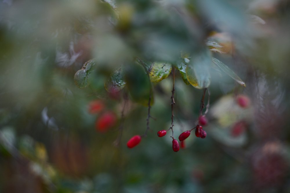 Photograph by Мария Давыдова