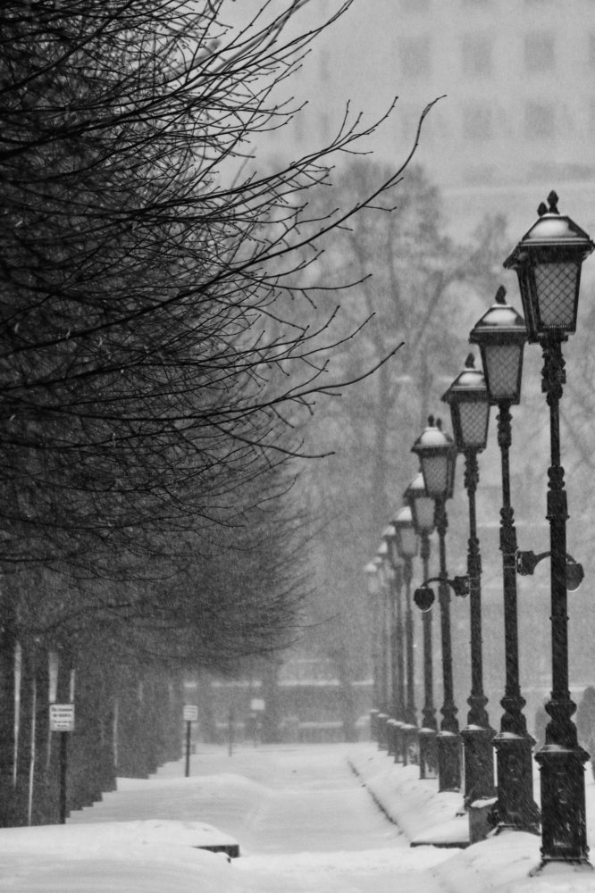 Photograph by Саша Дюбакин