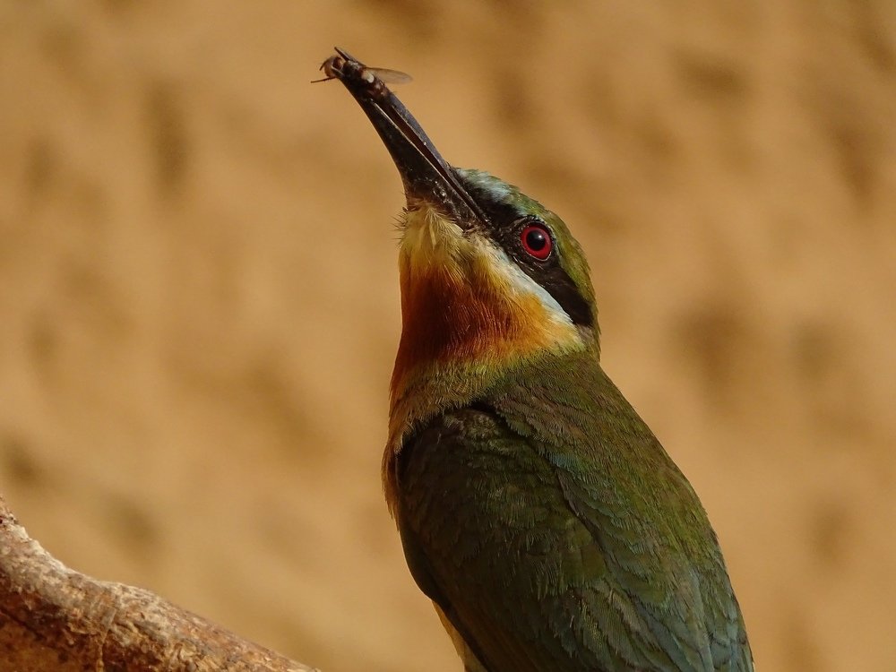 Photograph by Akshat Soni