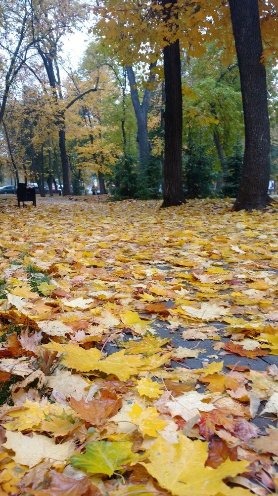 Photograph by Надежда