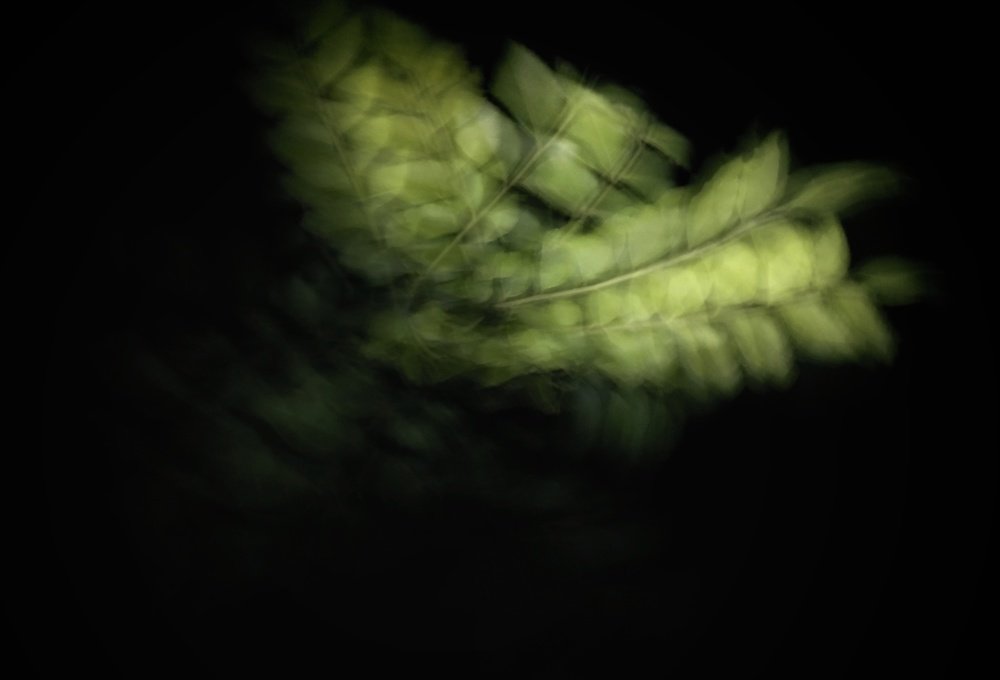 Photograph by Avinash Kumar