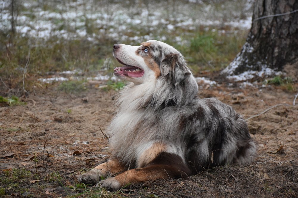 Photograph by Алёна Рындовская