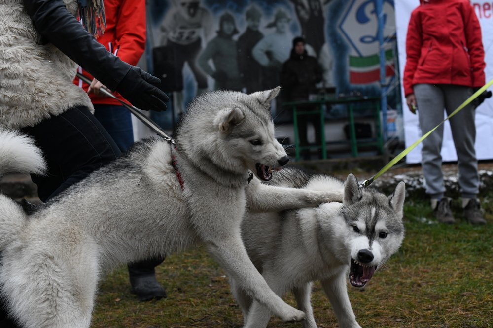 Photograph by Алёна Рындовская