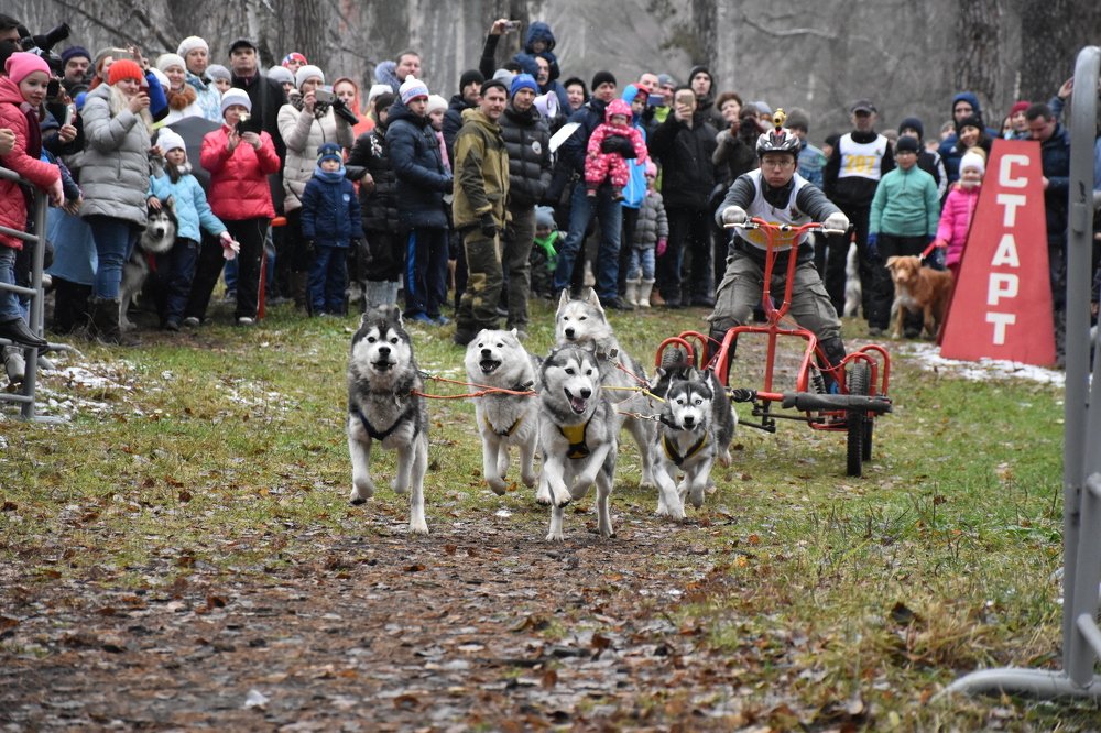 Photograph by Алёна Рындовская