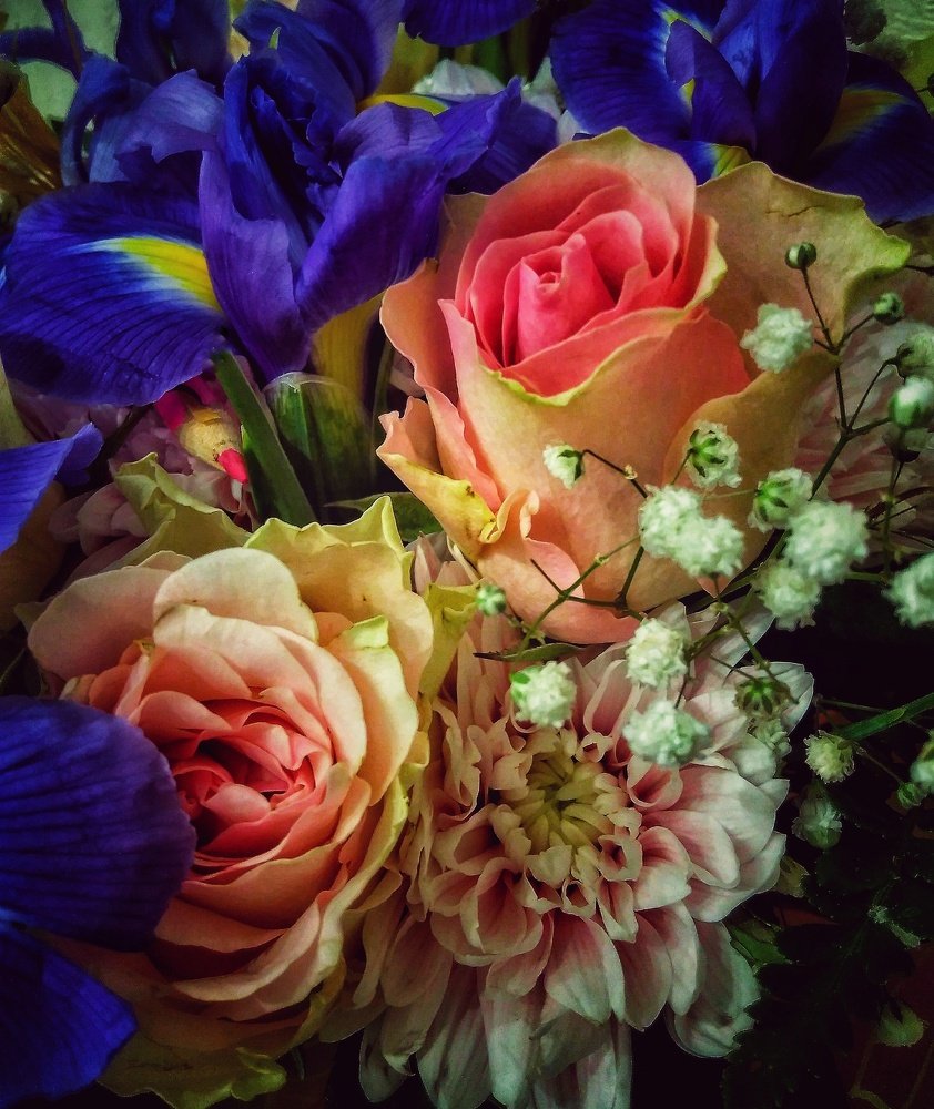 Photograph by Галина Мальцева