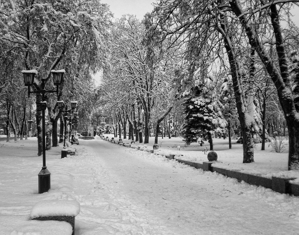 Photograph by Роман Савоцкий