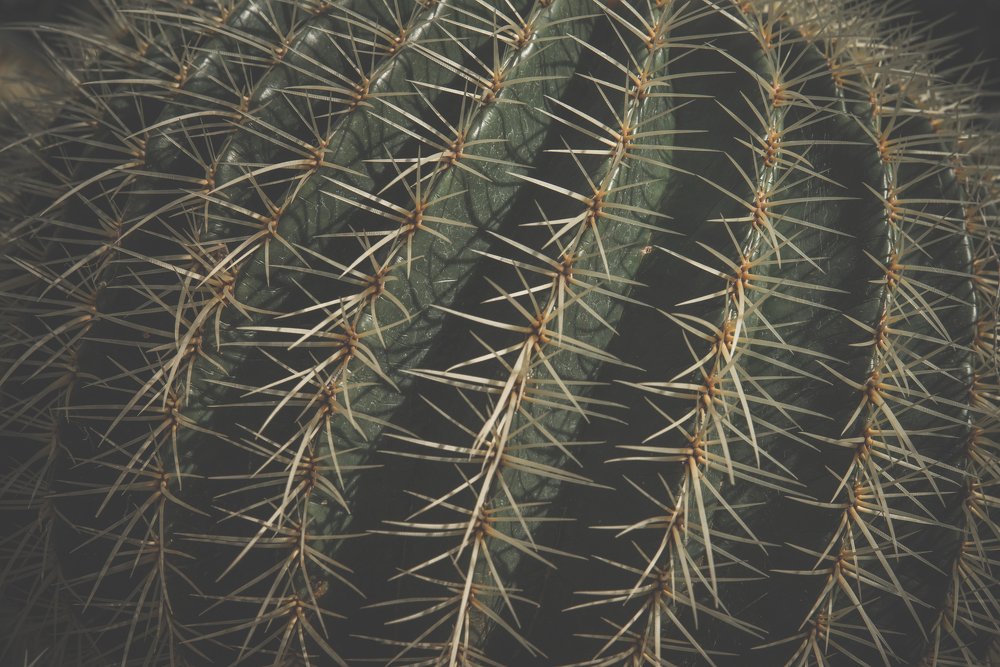 Photograph by Екатерина Мосолова