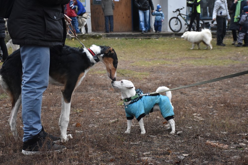 Photograph by Алёна Рындовская