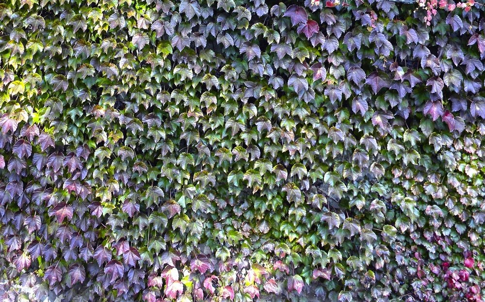 Photograph by Роман Савоцкий