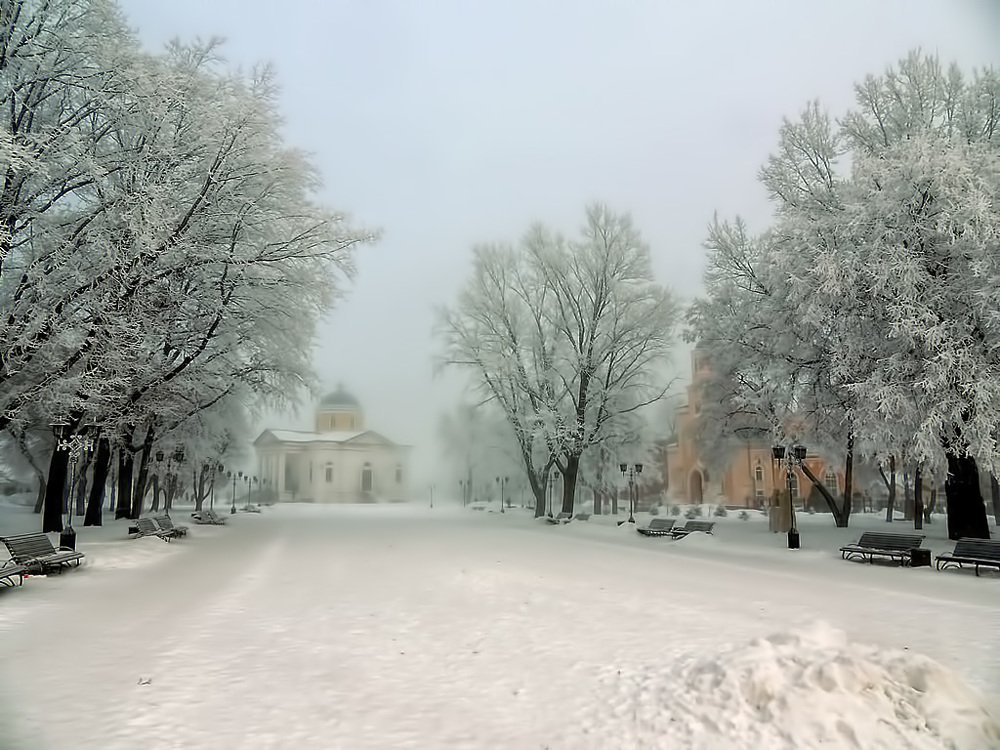 Фотография автора Роман Савоцкий