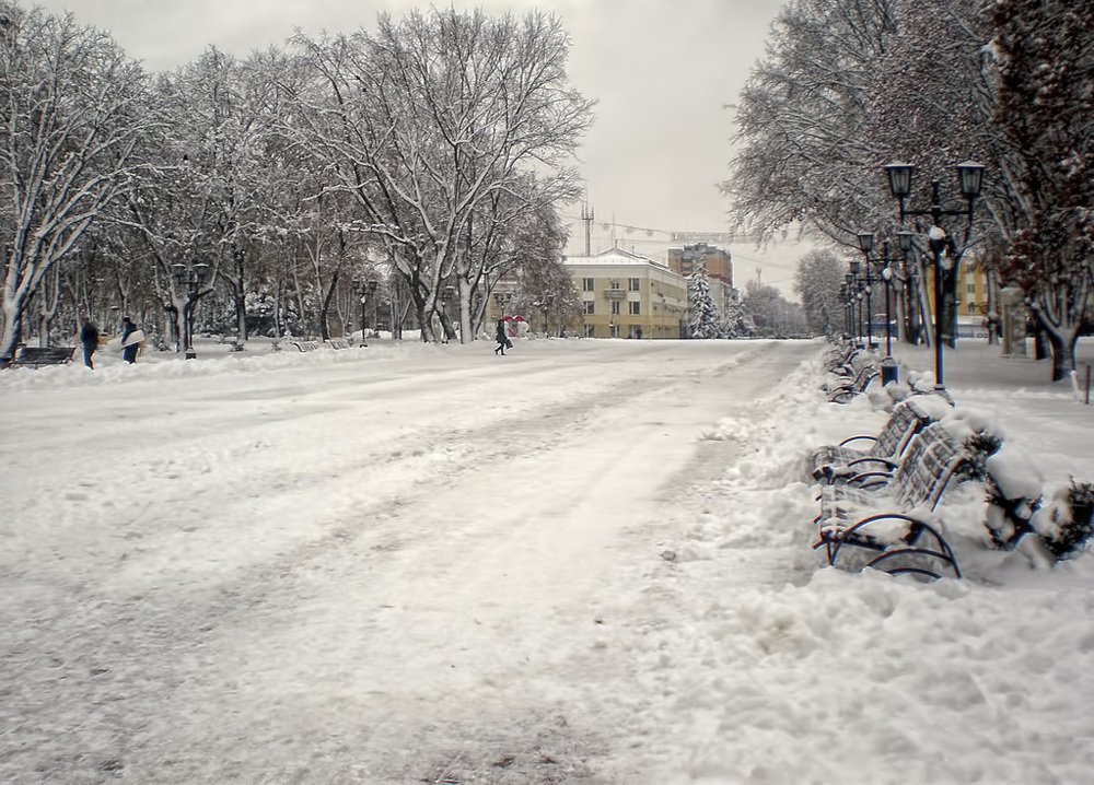 Фотография автора Роман Савоцкий
