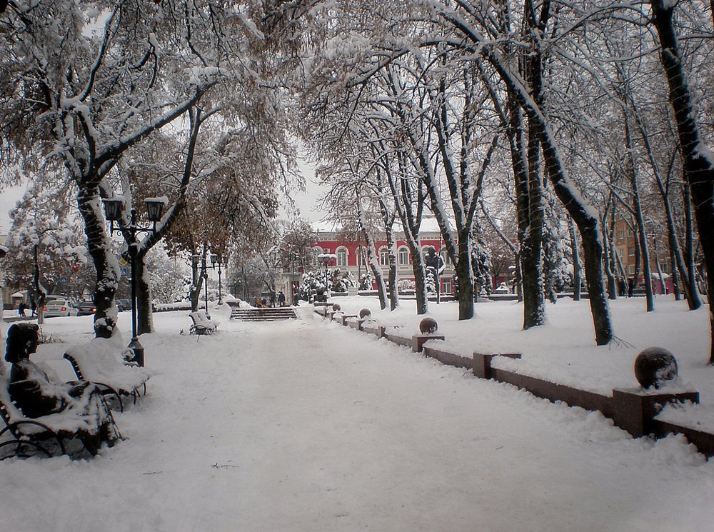 Фотография автора Роман Савоцкий