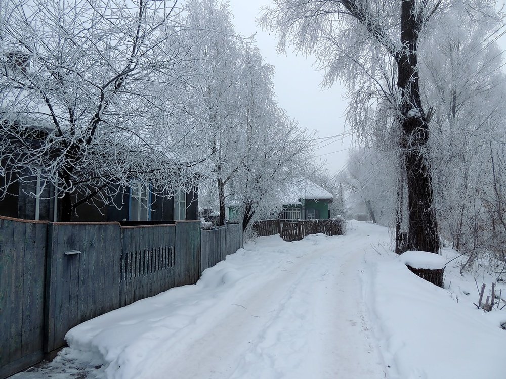 Фотография автора Роман Савоцкий