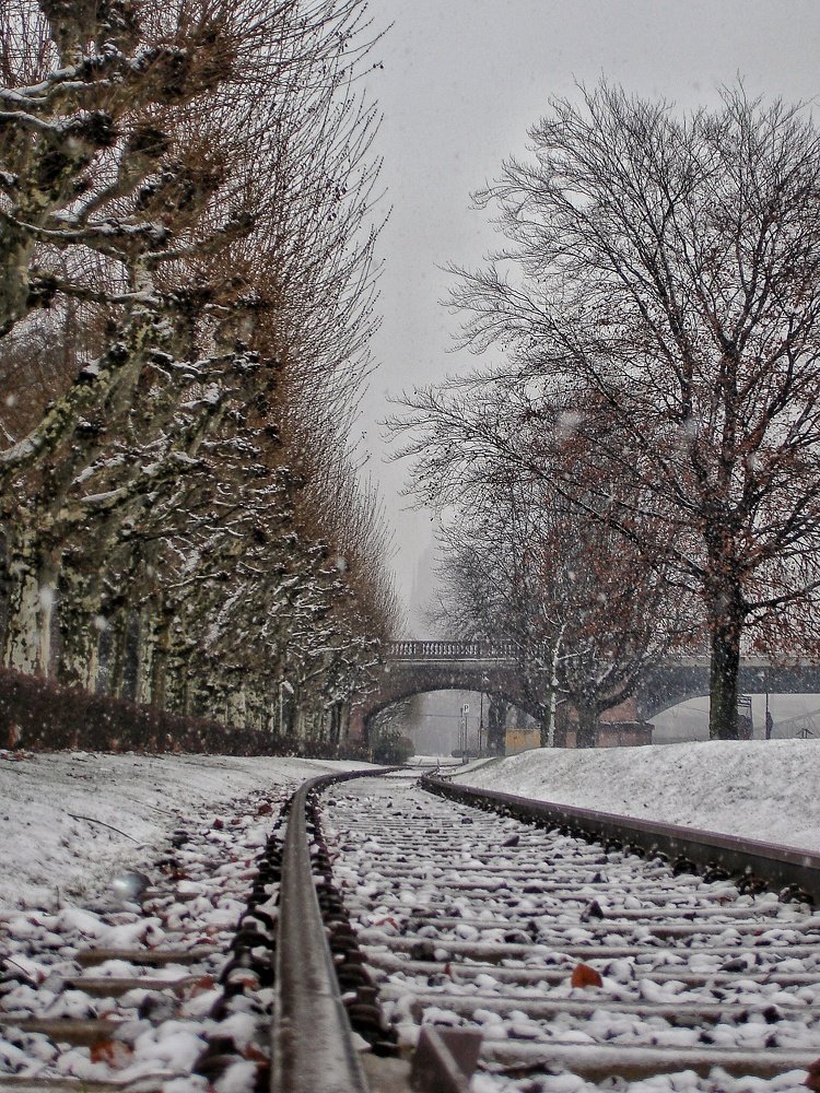 Photograph by Александр Мокеев