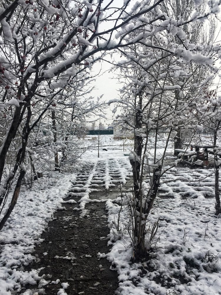 Photograph by Ирина Курочкина