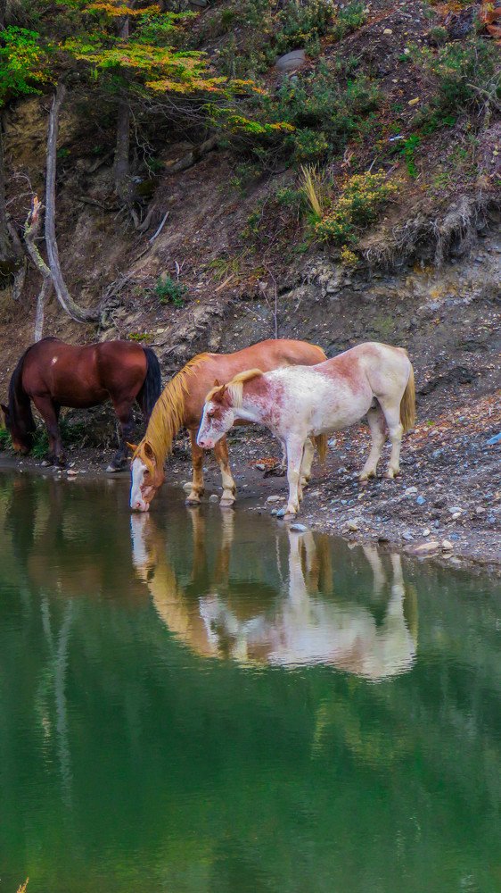 Фотография автора Raul Torres