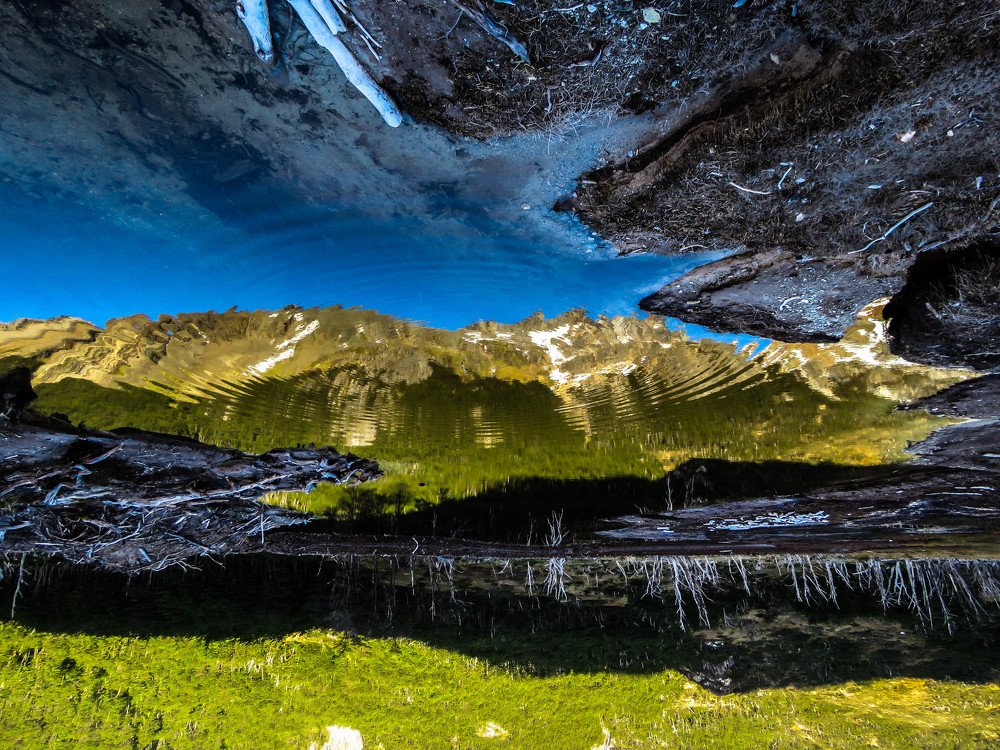 Фотография автора Raul Torres