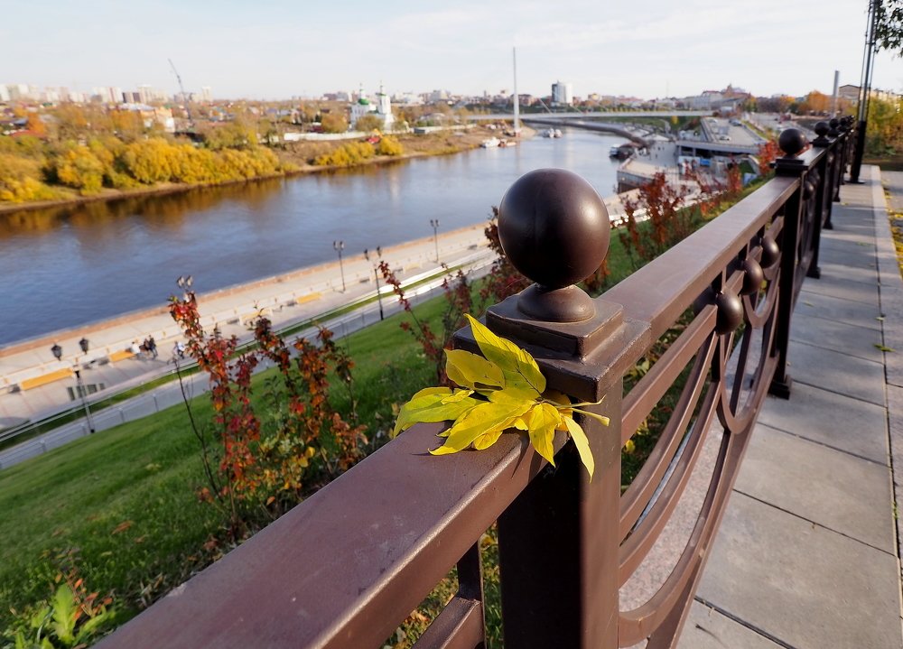 Photograph by Андрей Куприенко