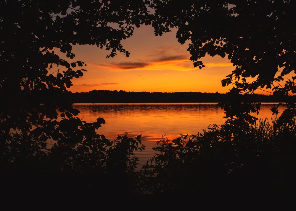 Photograph by Nikita Skokov