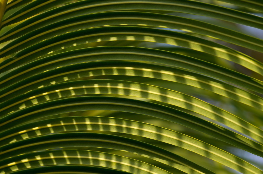 Photograph by Максим Захаров