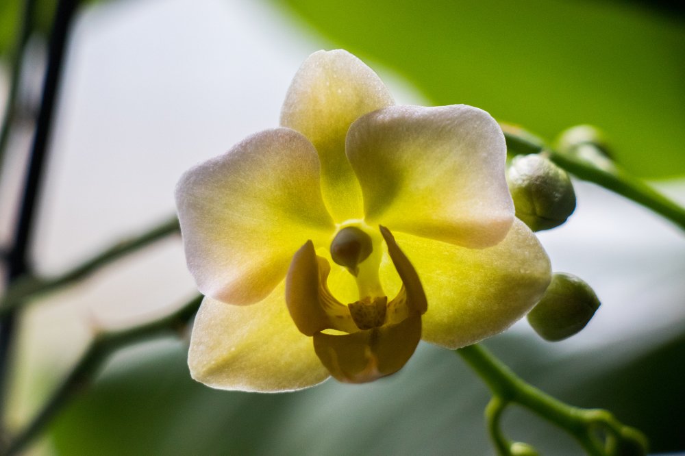 Photograph by Марина Тимакова