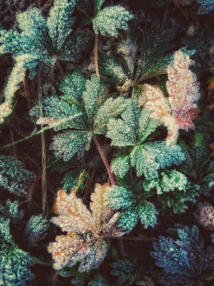 Photograph by Юлия Макаренко