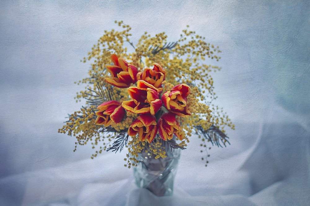 Photograph by Marina Baccardi