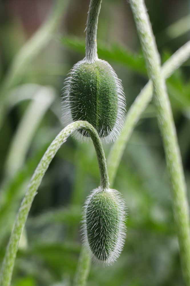 Photograph by Марина Тимакова