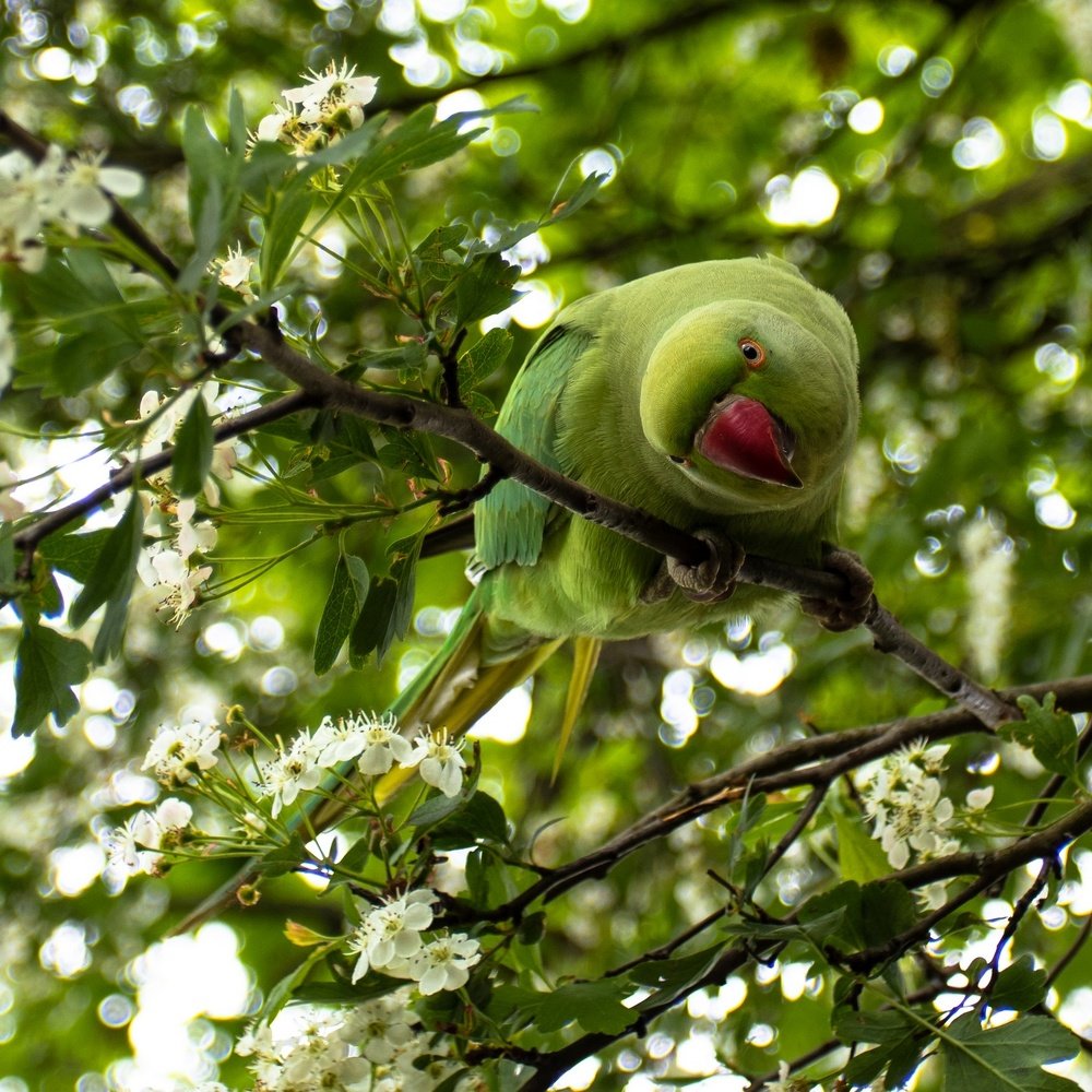 Photograph by Константин Панькин
