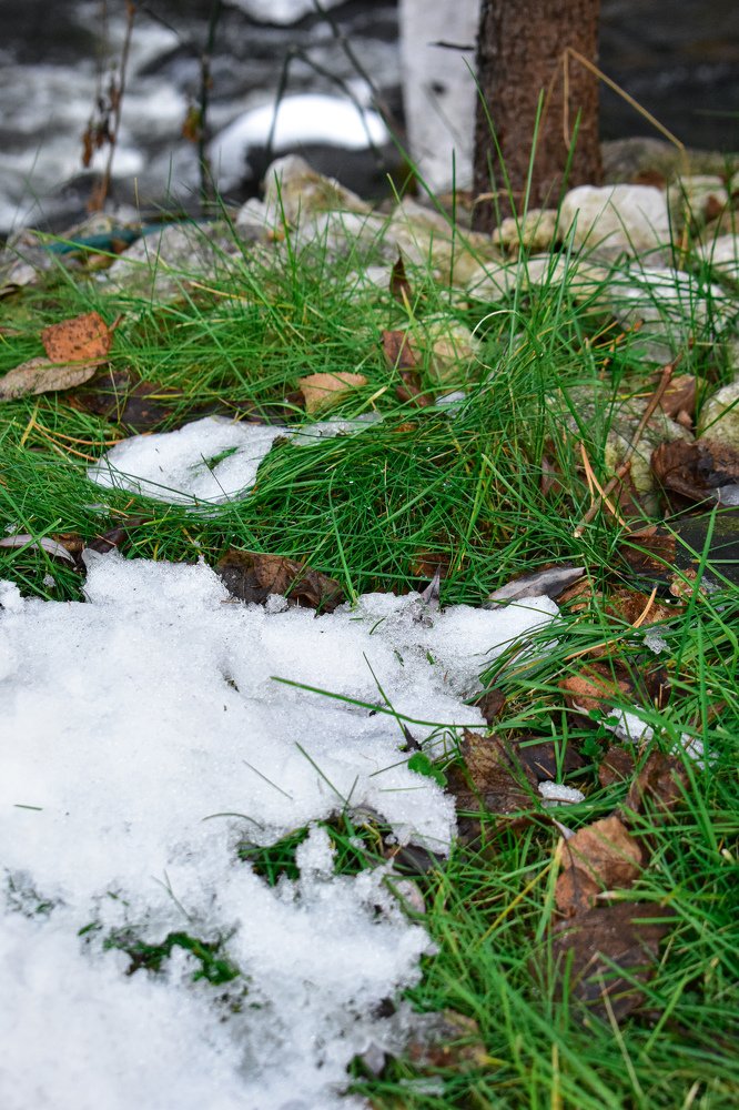 Photograph by Амир Гильмутдинов