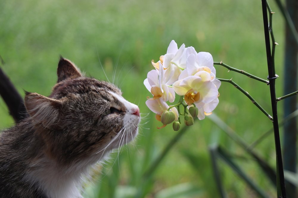 Photograph by Марина Тимакова