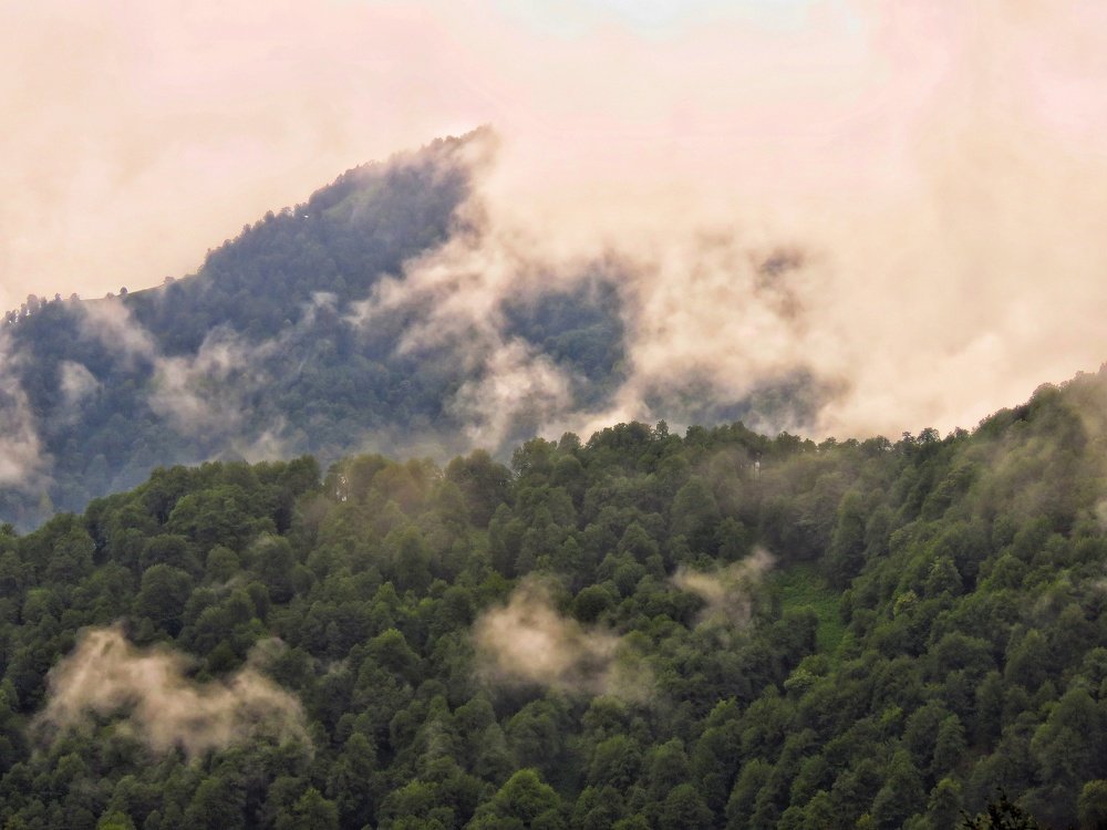 Photograph by Bahrami Ashkan