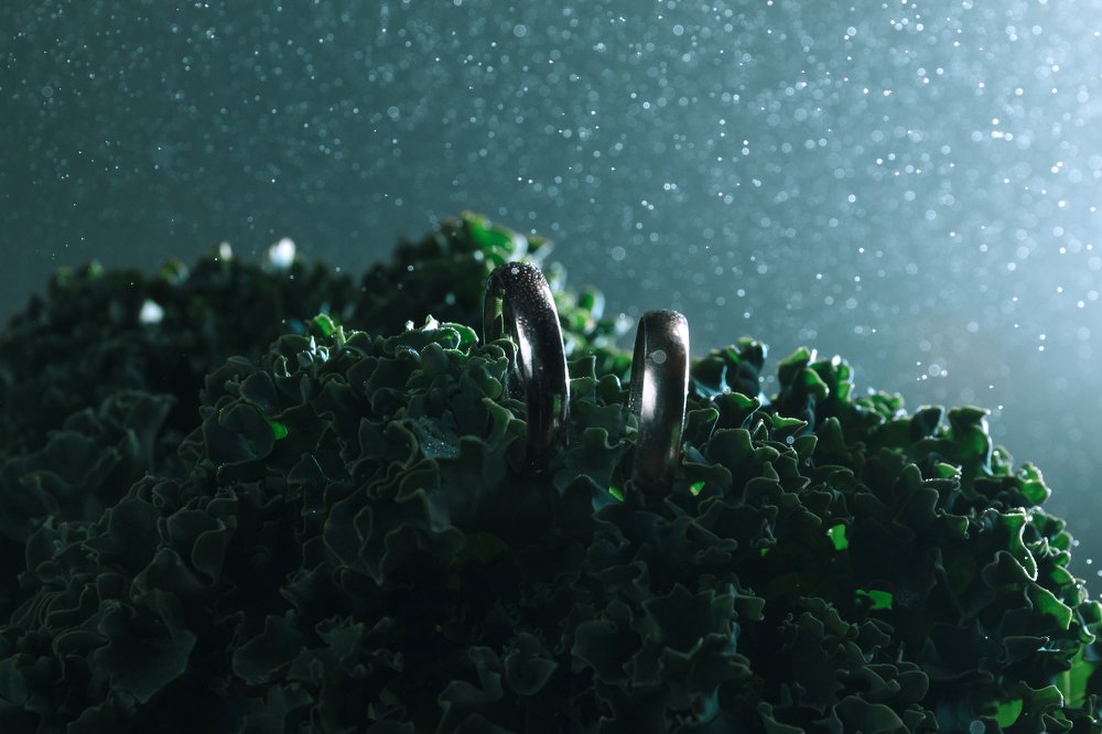 Photograph by Елена Неведицына