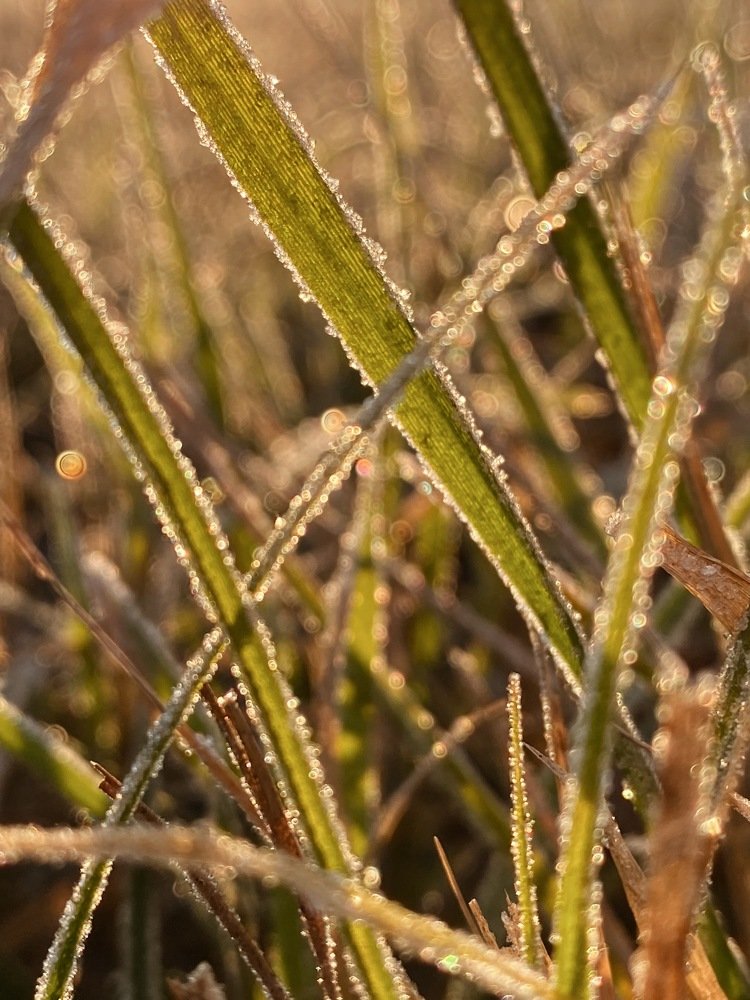 Photograph by Nastja Asipkina