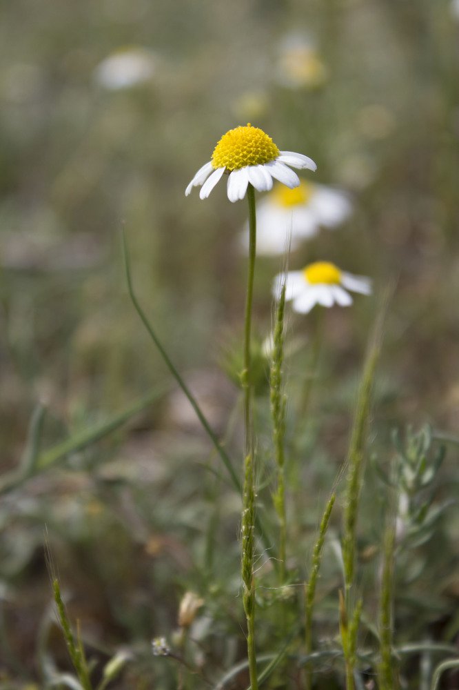 Photograph by Елена Демочкина