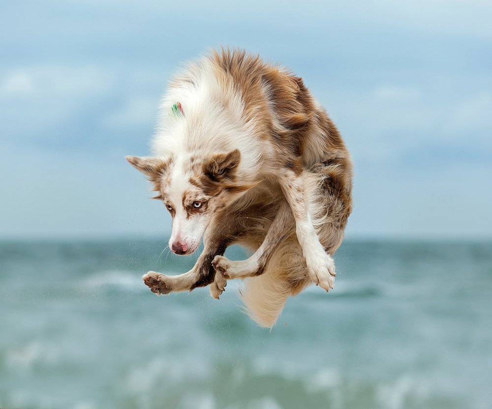 Photograph by Vera Konstantinovskaya