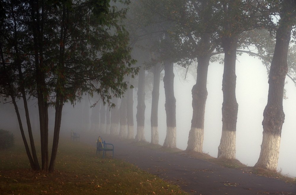 Photograph by Сергей Шляга