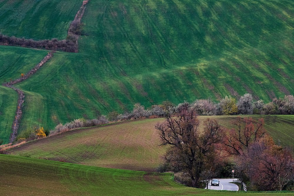 Photograph by Пётр Дедковский