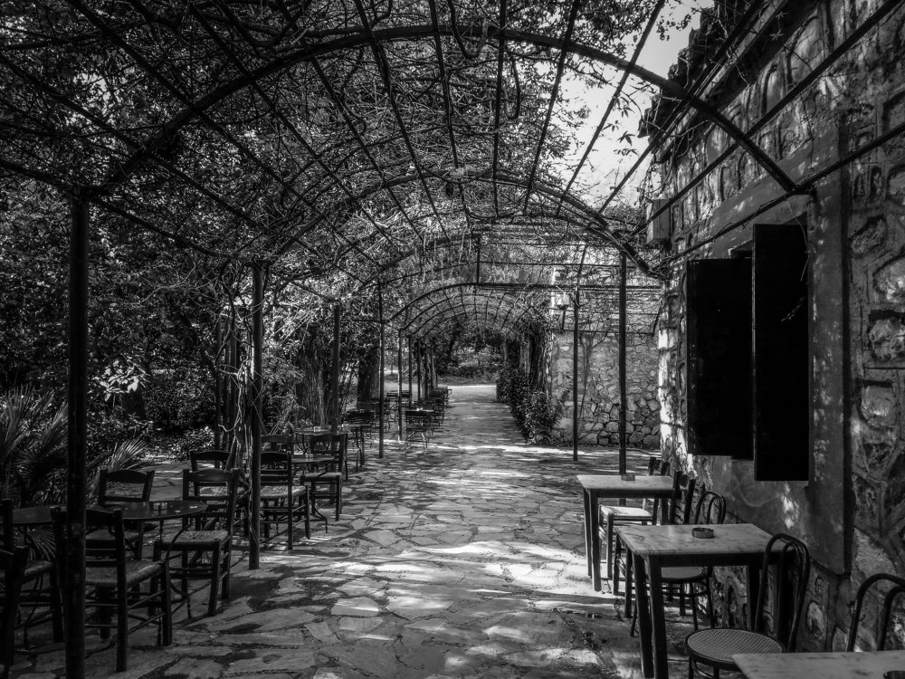 Photograph by Георгий Акопджанов