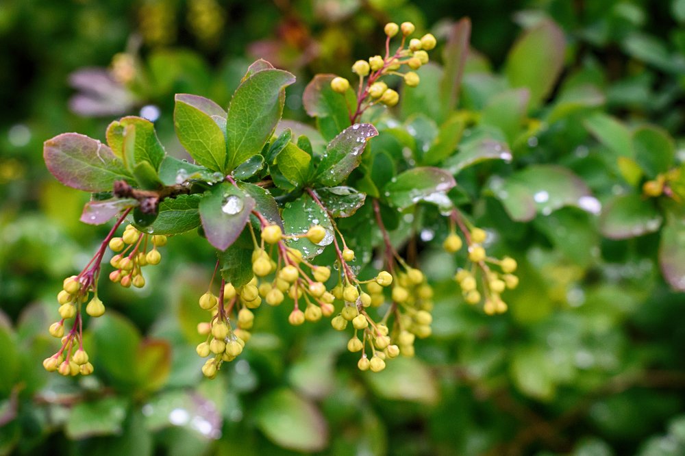 Photograph by Ильдар Валитов