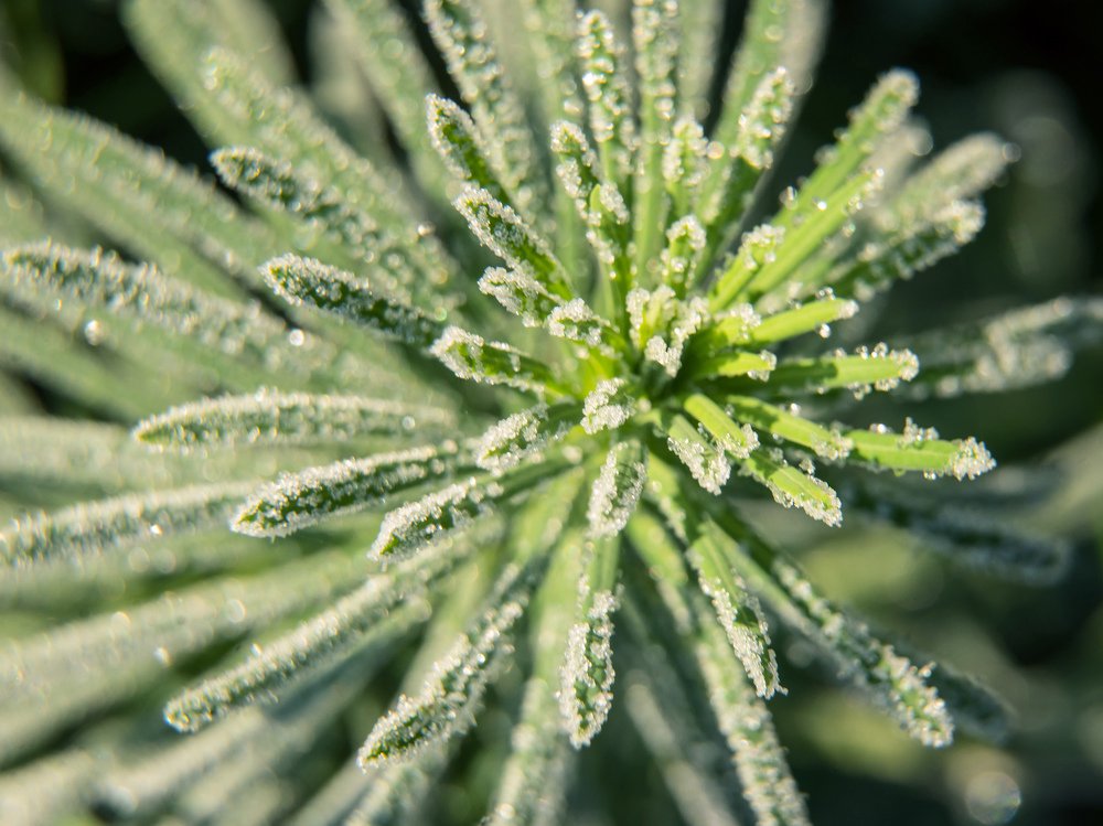 Photograph by Татьяна Чичковская