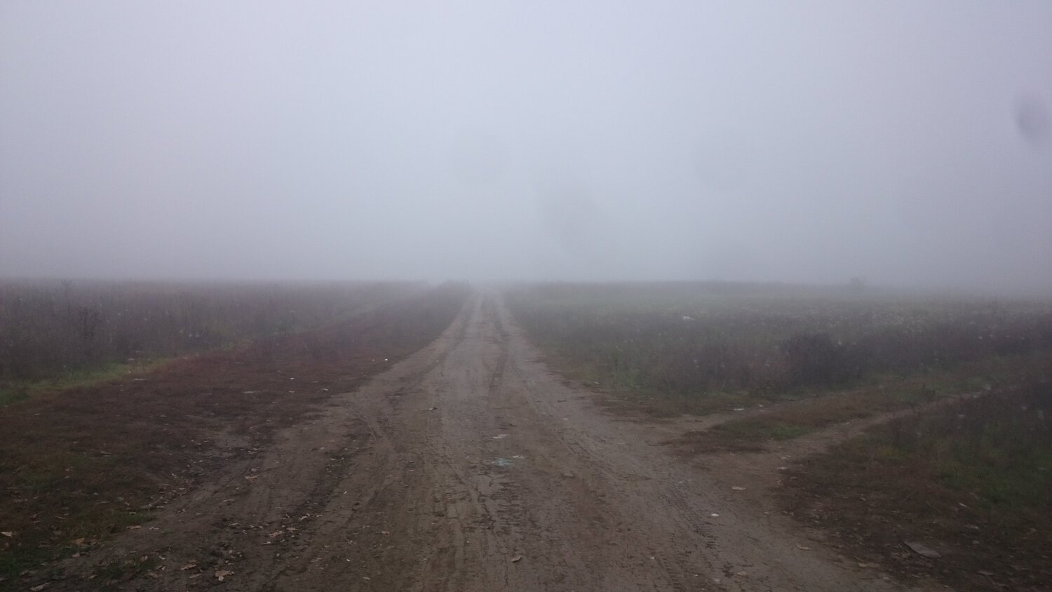Photo #3808233