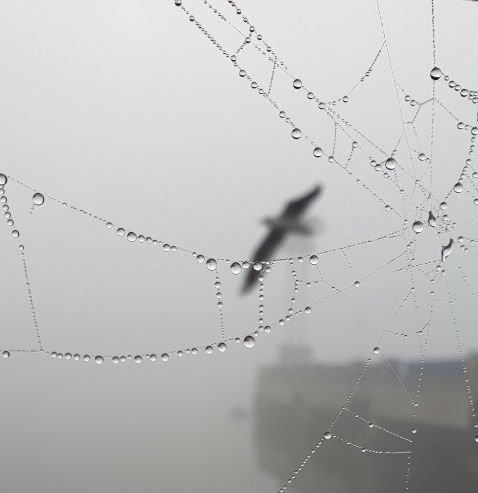 Фотография автора Igor Dyomin