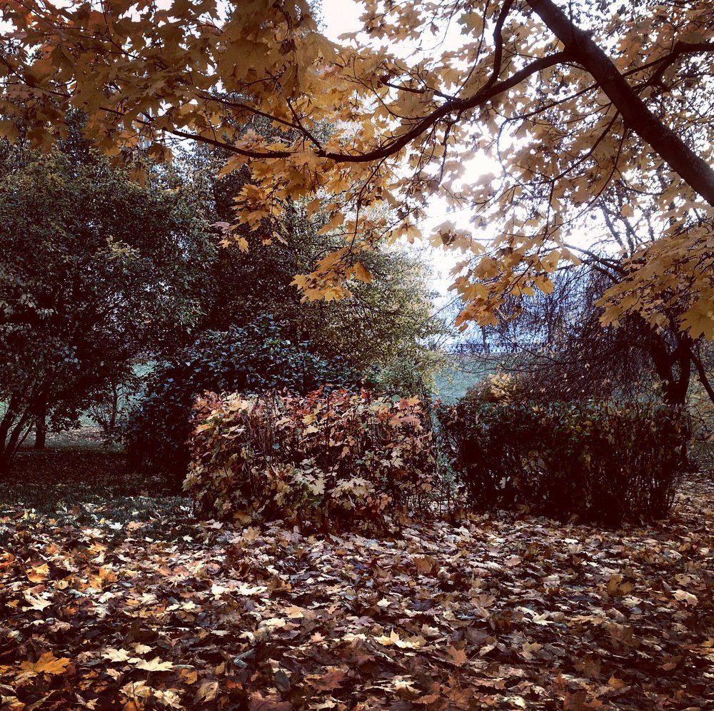 Photograph by Станислав Ситников