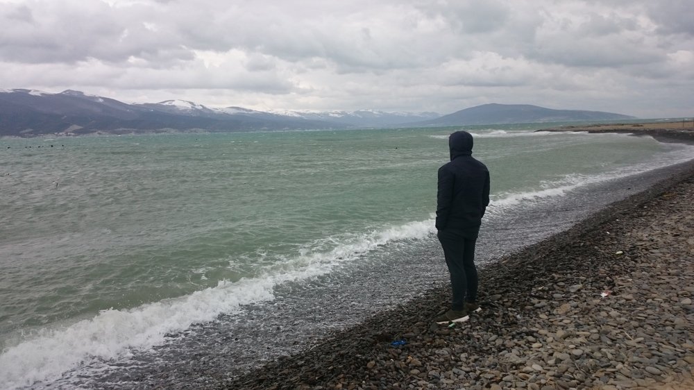 Photo #3808252