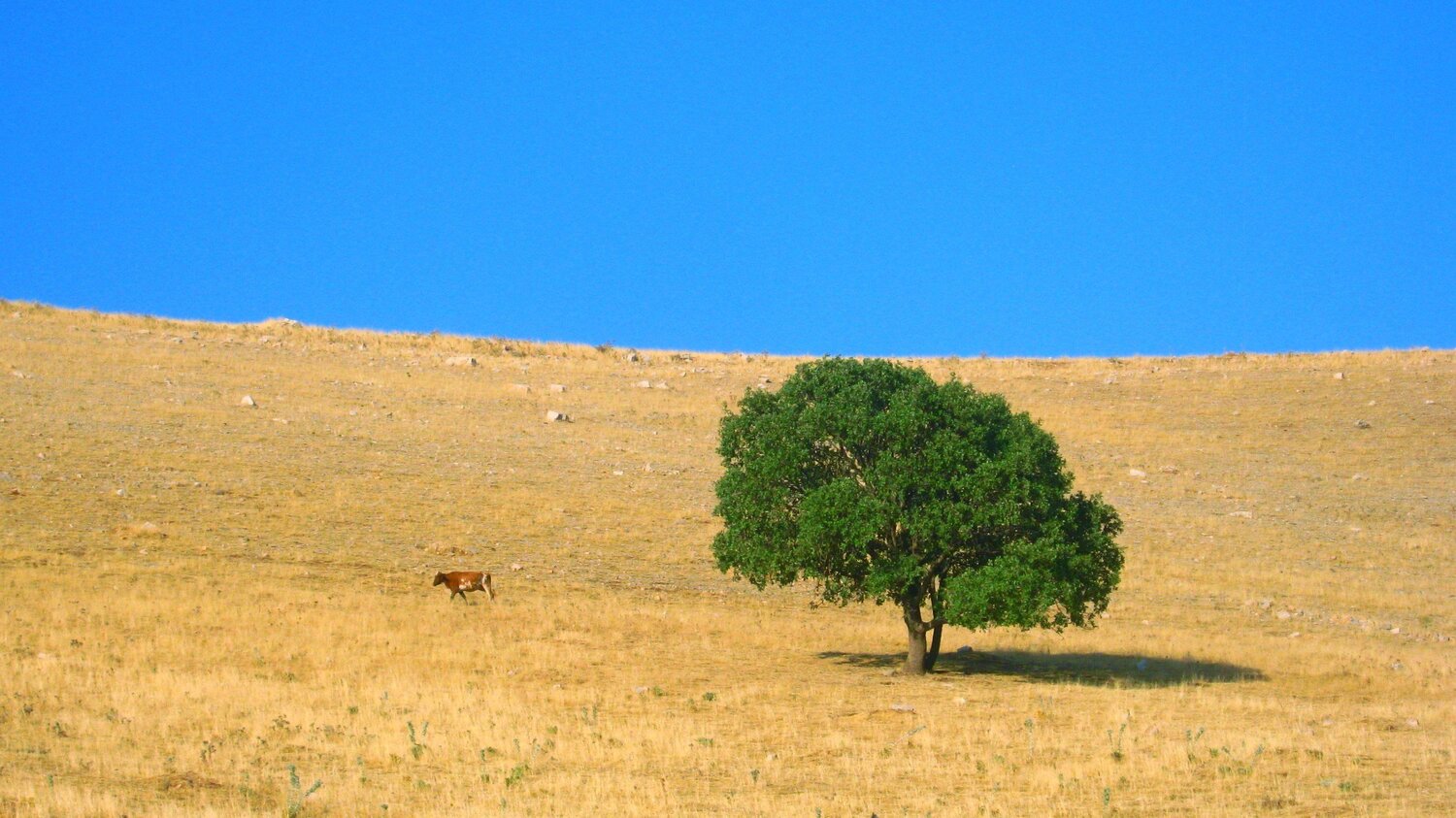 Alone