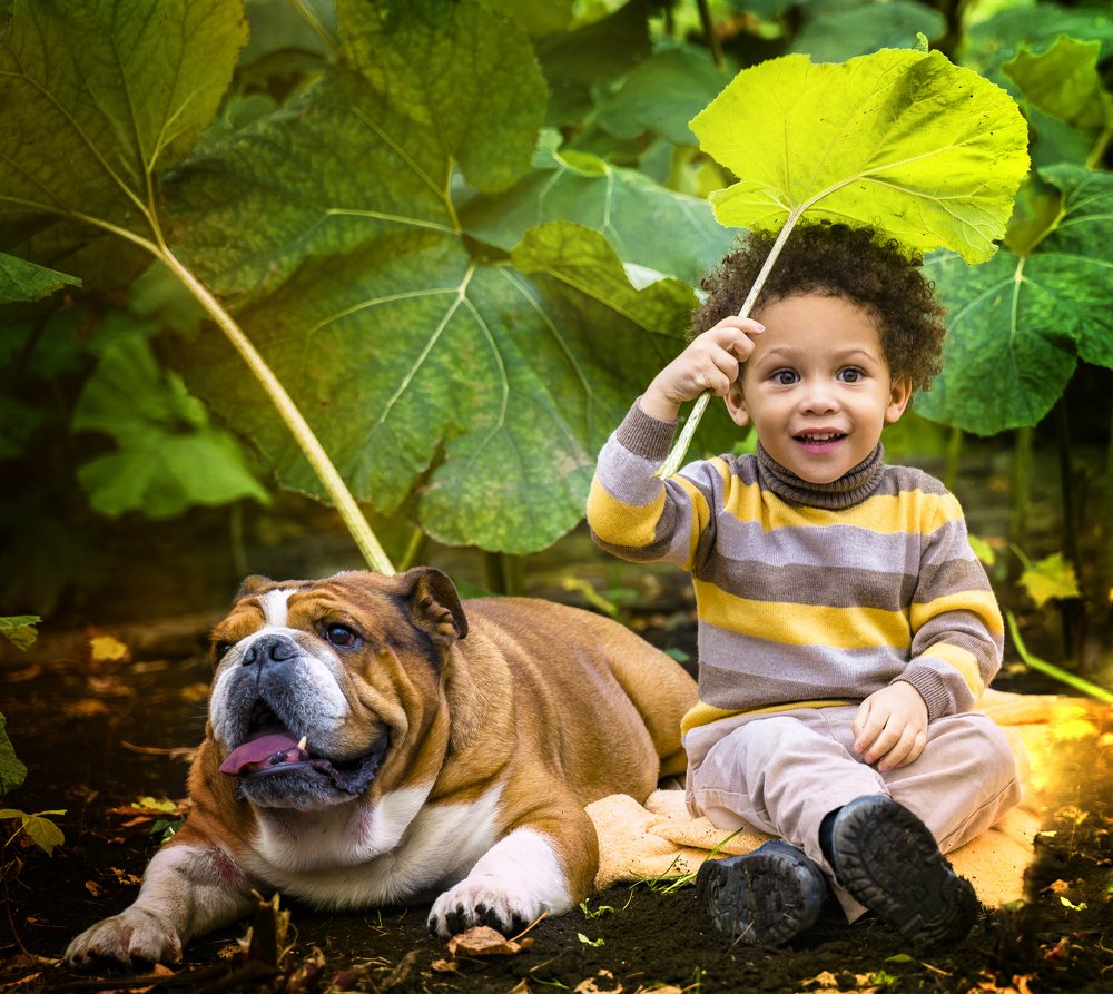 Photograph by svetlana Teteryatnik