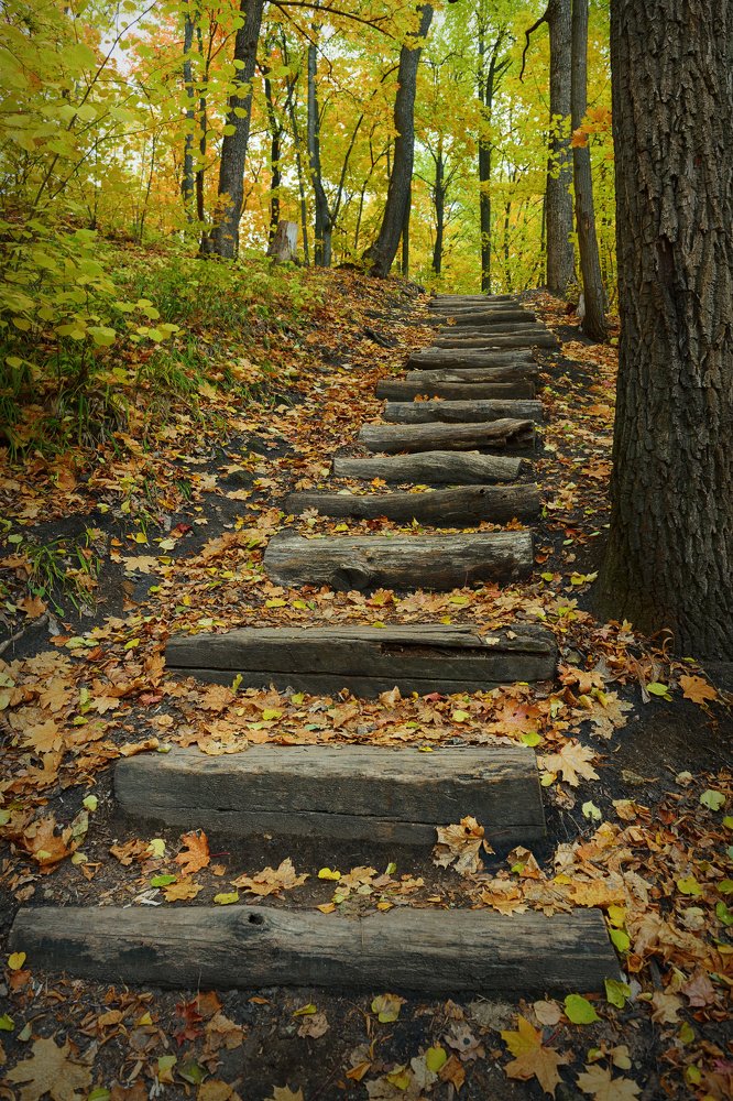 Photograph by Алексей Вольтов