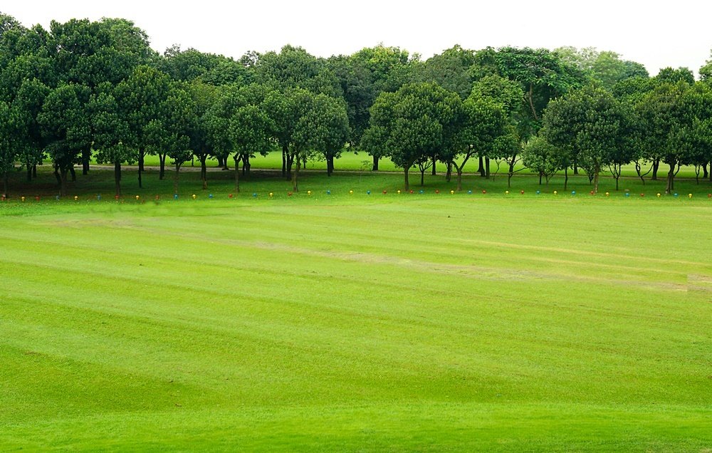 Photograph by  Harun-ar-rashid