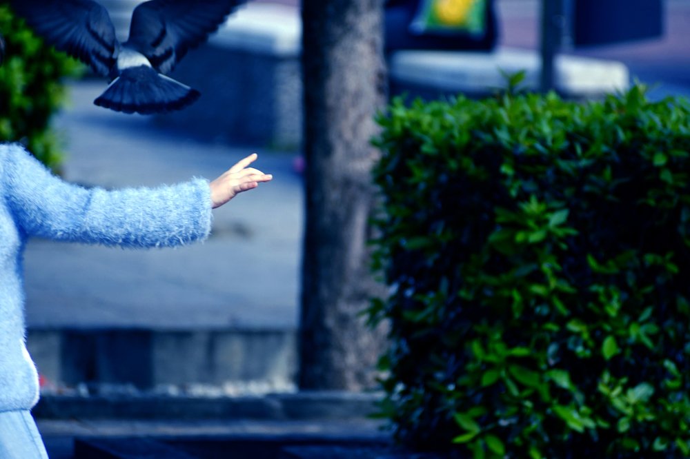 Photograph by Milica Jovicevic